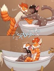 1boy 1girls anthro areola balls bath bathing bathtub bedroom_eyes bottomless bottomless_anthro bottomless_male bow_tie breasts brown_body brown_fur calvin_mcmurray clothed clothing digital_media_(artwork) domestic_cat duo felid feline felis female fur genitals hair half-closed_eyes half-erect hi_res holding_arms humanoid_genitalia humanoid_penis ivy_pepper lackadaisy looking_at_another looking_back male male/female mammal narrowed_eyes navel nipples nude onomatopoeia open_mouth orange_body orange_fur penis ruth66 seductive shirt sitting smile soap soap_bubbles sound_effects tail teeth text topwear undressed washing_another washing_hair water wet