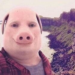 aww balls bitch bmw boys ert fortnite fuck funny gay human ips love mommy niga pig stupid_niga wxzy