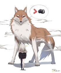 1animal 1girls absurd_res absurd_resolution absurdres animal_ears blush breasts brown_hair canine_teeth color colored comic comic_panel comparing comparing_breasts crossover ear_piercing earring female female_only fully_clothed grey_eyes grey_hair high_res high_resolution highres holo_(spice_and_wolf) hololive hololive_gen_5 hololive_japan lion_ears lion_girl nisp_art piercing red_eyes shirt shishiro_botan spice_and_wolf stocking transformation virtual_youtuber white_eyes white_hair wolf wolf_ears wolf_tail