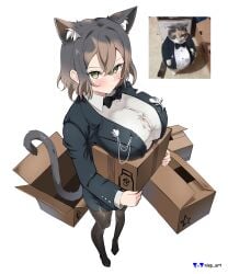 1girls absurd_res absurd_resolution absurdres big_breasts big_breasts blush blush bowtie breasts breasts cardboard_box cat_ears cat_girl cat_tail catgirl color colored confident dark_hair female female_only formal_wear fully_clothed high_res high_resolution highres looking_at_viewer looking_up looking_up_at_viewer multicolored_hair nisp_art office_lady original suit tail tights tuxedo