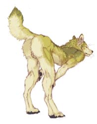 alpha_channel anthro balls canine fur furry green_fur male male_only pose presenting sekki solo wolf