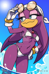 Sonic (Series) Rule 34 Image