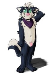 Dewy (Shywolfdewy) Rule 34 Image
