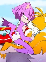 1boy 1girls aircraft airplane animated anthro anthro_on_anthro anthro_penetrated anthro_penetrating_anthro beach bedroom_eyes blaze_the_cat cum female flat_chest male male/female mobian_(species) mp4 no_sound sonic_(series) tagme tails tails_the_fox video x-ray zephyr_lyall