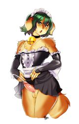 balls blush brown_fur canine clothing crossdressing cum cumshot ejaculation fur girly green_hair hair maid_uniform male male_only mammal milkcrown nipples open_mouth penis solo uniform