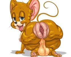 1boy anus balls brown_fur bussy cellulite deep-fried_car furry huge_ass jerry_mouse male male_only mouse nipple overweight_male tagme tail tom_and_jerry tongue tongue_out