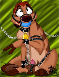 2009 anthro atimon ball_gag bell bondage chains collar disney furry gag gagged male male_only mammal meerkat penis solo solo_male tagme testicles the_lion_king timon