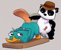 bondage bound fur male male_only mammal monotreme multiple_males panda perry_the_platypus peter_the_panda phineas_and_ferb platypus tagme yaoi