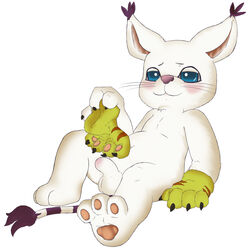 digimon gatomon male_only tagme ziyen