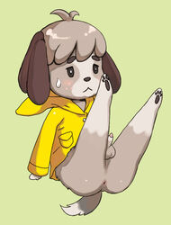 animal_crossing anus ass digby_(animal_crossing) nintendo p_(artist) penis tagme year_request