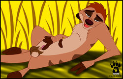 2008 atimon disney male_only penis tagme testicles the_lion_king timon