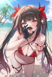 Honkai (Series) Rule 34 Image