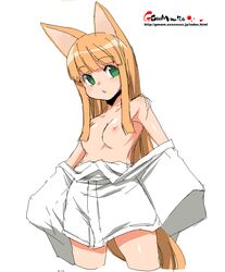 bangs blonde_hair breasts copyright_request fox fox_ear green_eyes long_hair nipples oekaki onija_taro onija_tarou robe topless undressing very_long_hair