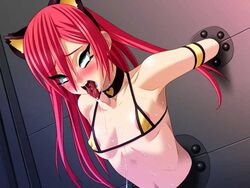 ahe_gao animal_ears bra breasts colors female female_only fucked_silly human_furniture kuruizaki_virgin_road lingerie red_hair rolling_eyes saliva small_breasts through_wall tongue underwear