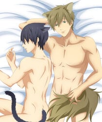 2boys animal_ears animal_tail cat_boy cat_ears cat_tail catboy free! gay makoto_tachibana nanase_haruka_(free!) tachibana_makoto tagme yaoi