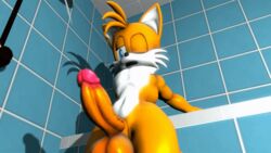 1boy 3d animated anthro arm_support balls bathroom big_balls big_penis black_nose blue_eyes bouncing_balls burstingseas canine chest_tuft cum cumshot cumstring fox frenulum hands-free hands_free_ejaculation hands_free_orgasm hips huge_balls huge_cock infinite_cum large_penis large_testicles long_penis male male_only mammal navel nude one_eye_closed open_mouth orgasm_face penis sega shadow solo sonic_(series) source_filmmaker swinging_balls tails thick_penis thick_thighs thighs thrusting tuft two_tone_fur vein veiny_penis white_fur yellow_balls yellow_fur yellow_hair yellow_penis