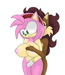 amy_rose color female female_only fur furry hedgehog interspecies kingshadow multiple_females sally_acorn sonic_(series) squirrel