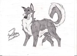 1boy balto feral holidaypup kaltag monochrome solo tagme