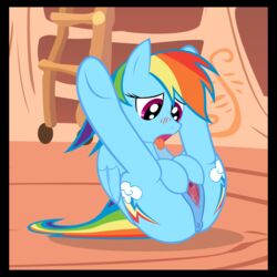 derpysjunk friendship_is_magic my_little_pony overmare rainbow_dash_(mlp) smooth_skin