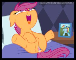 animal animated cutie_mark_crusaders dildo dildo_in_pussy dildo_penetration friendship_is_magic my_little_pony overmare penetration pussy rainbow_dash_(mlp) scootaloo_(mlp) smooth_skin vagina vaginal vaginal_penetration