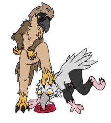 2018 anisodactyl anthro avian beak bird bondage bowl brown_eyes chastity chastity_cage crawling cum cum_eating cum_in_bowl cum_in_mouth cum_inside domination duo eagle feathers feet fennfeathers flat_colors foot_on_head male male_domination master penis pet petplay philippine_eagle pirate_eagle roleplay secretary_bird sex tagme tail_feathers talons xerobird yaoi yellow_eyes