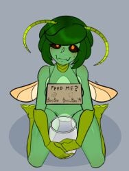 antennae black_sclera bob_cut cardboard flesh_fangs front_view green_hair green_nails green_skin hidden_breasts insect_girl insect_humanoid insect_wings jar kneeling looking_at_viewer looking_up mole_under_eye moles moles_under_eyes naked naked_female orange_eyes original_character segmented_body sign sign_around_neck tip_jar twitter_logo twitter_username username