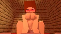 big_breasts blush cowgirl_position kimmam minecraft moaning plap pov stomach_bulge tagme video young-hee_(kimmam)