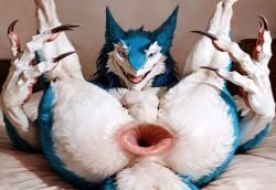 ai_generated anthro anus aurugy balls claws furry gaping_anus lifting_legs looking_at_viewer male male_only on_back on_bed oversized_anus presenting presenting_anus realistic sergal sharp_claws smile solo spread_legs spreading white_fur