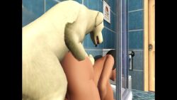 1girls 3d animated bathroom big_ass big_breasts black_hair bustadog canine doggy_style feral feral_on_female feral_penetrating marisa(bustadog) shower tagme tan_skin the_sims_3 video zoophilia