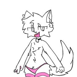 furry_femboy tagme