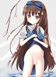 brown_eyes brown_hair female female_only lifting_skirt long_hair pussy small_breasts star_sapphire_(touhou) straight_hair tagme touhou