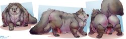 2026 absurd_res animal_genitalia animal_penis backsack balls belly big_belly big_butt butt canid canine canine_genitalia canine_penis canis erection feral fluffmoss genitals hi_res knot male mammal morbidly_obese multiple_poses obese obese_feral obese_male overweight overweight_feral overweight_male penis pose solo vancouver_island_wolf wolf