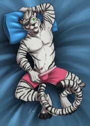 animal_genitalia anthro athletic athletic_anthro athletic_male bedding bedding_background black_nose bulge clothed clothing eye_patch eye_scar eyewear facial_markings facial_scar fangs felid front_view fur genitals glistening glistening_eyes hair head_markings herzog_silverfang hi_res hufnaar looking_at_viewer lying male male_anthro mammal markings on_back open_mouth pantherine penis penis_tip red_eyes scar sheath short_hair solo striped_arms striped_body striped_face striped_fur striped_legs striped_markings striped_tail stripes tail tail_markings teeth tiger topless white_hair white_sheath