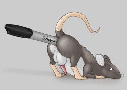 anal anal_penetration anus backsack balls bodily_fluids feral genitals large_penetration male mammal murid murine penetration penis raised_tail rat rodent solo tail tears tiny_terrible