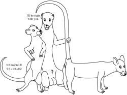 1996 animal_genitalia arm_around_partner balls black_and_white dated dialogue female feral frown fur genitals group imminent_sex interspecies looking_back male male/female mammal monochrome murid murine mustelid musteline raised_tail rat rodent sheath simple_background tail text trio true_musteline urbanhermit vulva weasel white_background