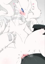 blue_eyes blush dragon duo erection female fur generation_5_pokemon genitals hi_res legendary_pokemon male mythological_creature mythological_scalie mythology nintendo nude offscreen_male penis pokemon pokemon_(species) reshiram satoumizu672 scalie sex simple_background vulva white_body white_fur zekrom
