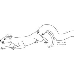 1:1 2003 ball_bite black_and_white clawing_floor cock_and_ball_torture dated duo feral forced fur genital_torture male male/male mammal monochrome murid murine nude_male pain rat rat_tail reptile rodent scalie sharp_teeth simple_background size_difference snake tail teeth urbanhermit white_background