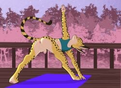 absurd_res anthro anus ass_up balls butt butt_focus felid feline genitals hi_res hirokitty male mammal penis presenting presenting_hindquartersspread_anus serval solo spreading stretching yoga