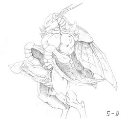 5-d antennae anthro big_penis black_and_white bug chitin huge_penis hyper_penis insect insect_wings kha'zix league_of_legends male male_only muscular muscular_male penis riot_games solo solo_male spikes voidborn wings