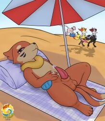 2_tails 4_fingers 4_toes alternate_color animal_genitalia anthro arm_fin balls beach beach_towel beach_umbrella black_body black_fur black_nose bodily_fluids braixen buizel circle_eyebrows claws cooler dipstick_tail erection eyebrows feet fin fingers flotation_sac foxwithhat fur generation_1_pokemon generation_4_pokemon generation_6_pokemon genital_fluids genitals grey_body grey_fur group hand_holding hi_res kerchief legendary_pokemon lying male markings mew_(pokemon) multi_tail multicolored_body multicolored_fur neckerchief neckwear nintendo on_back orange_body orange_fur parasol penis pillow pink_body pokemon pokemon_(species) precum precum_on_hand precum_on_own_penis precum_on_penis red_body red_fur shadow sheath solo_focus tail tail_markings tan_body tan_fur tapering_penis toe_claws toes towel whisker_markings yellow_body yellow_fur
