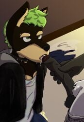 akumma anthro black_body black_fur bodily_fluids bottomwear boxers_(clothing) brown_body brown_fur canid canine canis choker cj_dubin clothed clothed_male clothing cmnm collar cum cum_drip cum_dripping_from_mouth denim denim_bottomwear denim_clothing dobermann domestic_dog dripping duo dyed_fur eyebrow_piercing facial_piercing fellatio finnley_adolphos foreskin fur genital_fluids genitals green_hair hair hi_res holding_penis jacket jeans jewelry leather leather_clothing leather_jacket leather_topwear male male/male mammal messy_hair messy_room necklace open_mouth oral pants penile penis piercing pinscher pubes sex shirt spiked_collar spikes tan_body tan_fur tank_top topwear underwear white_body white_fur white_pubes wolf