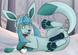 1boy canine collar digitigrade erection glaceon knot lying male male_only nintendo paws penis pokemon presenting solo tongue video_games zeonart