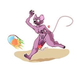 beach beachball big_ass big_butt big_penis femboy furry guma male nsfw original_character porn rat self_upload