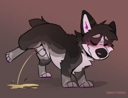bodily_fluids canid canine canis domestic_dog feral feral_only genital_fluids herding_dog hi_res male male/male mammal mintyderg pastoral_dog peeing pyre_corgi raised_leg raised_leg_pee solo solo_feral solo_focus solo_male urinating urinating_male urination urine watersports welsh_corgi