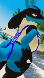 1girls beach big_ass big_breasts lucario pokemon pokemon_(species) sling_bikini sloppydragons solo tagme tail vrchat