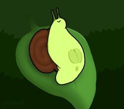 :> anus clitoris darkened_anus darkened_genitalia darkened_pussy digital_media_(artwork) eyestalks female gastropod gastropod_shell genitals green_body leaf lying mollusk mollusk_shell on_back on_leaf pincoosh plump_labia presenting presenting_pussy pussy shell signature snail solo