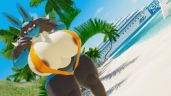 1girls areolae beach big_breasts bikini chest_spike chest_tuft lucario pokemon pokemon_(species) sling_bikini sloppydragons solo tagme visible_areolae yacht