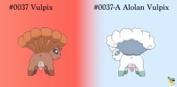6_tails alolan_form alolan_vulpix anus artist_logo ass balls duo english_text feral fur generation_1_pokemon generation_7_pokemon genitals hi_res logo male male_feral multi_tail nintendo open_mouth orange_body orange_fur penis pichu90 pokemon pokemon_(species) presenting presenting_hindquarters regional_form_(pokemon) tail tapering_penis text vulpix white_body white_fur x_anus