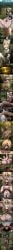 abs after_rape after_sex ahe_gao annie_leonhardt ass asshole attack_on_titan big_tongue biting_lips black_hair blonde_hair blue_eyes blushed bondage breasts caught_in_the_act caught_off_guard closed_eyes crying crying_female crying_rape_victim crying_with_eyes_closed cumming cunnilingus desperate dialogue disgusted distracted evil_grin evil_smile evil_smirk feet female_titan fingering fingering_self flying forced_cunnilingus forced_orgasm forced_pleasure forced_sex forest forest_background forest_sex fucked_senseless fucked_silly giantess grabbing grabbing_legs grass grey_eyes hanging holding holding_legs holding_partner holding_person long_tongue looking_down masturbating masturbation medium_hair mikasa_ackerman moaning moaning_in_pleasure monologue mouth_drool mouth_shot naked naked_female nude open_mouth pleasure_rape ponytail pussy pussy_juice pussy_juice_drip rape restrained revenge running saliva saliva_trail satisfied satisfied_look satisfied_smile scared scared_expression scared_face scared_female scared_shitless scarf shingeki_no_kyojin silly_face size_difference small_pupils squirt_shower squirting squirting_orgasm stupid_face stupid_looking sucking_pussy surprised teaching_a_lesson teeth teeth_showing tongue torn_clothes torn_clothing transformation tree trees unable_to_escape unable_to_move upside-down vagina watching yuri