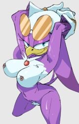 1girls breasts nipples pubic_hair sonic_(series) wave_the_swallow